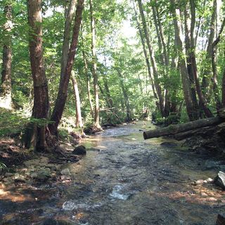 La Vallée en Barret