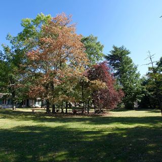 Parc de la mairie